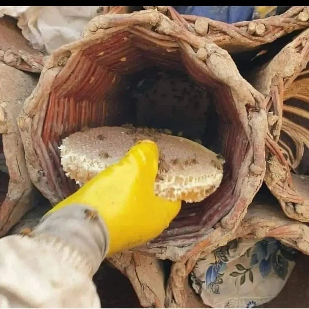 Hakiki Karakovan Balı 1000 g