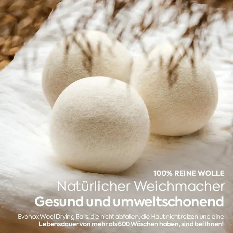 Haushalts-Reinigungs cerezland