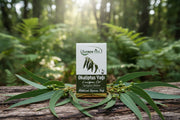 eukalyptusöl kaufen 10ml ätherisches öl