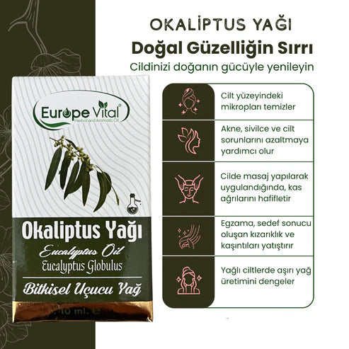 eukalyptusöl diffuser aromatherapie frisch
