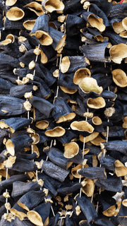 Dolmalık Patlıcan Kurusu (Antep)