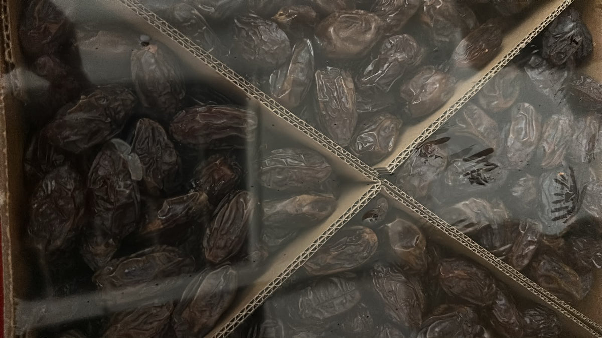 Medjool Datteln (Kudüs Hurmasi) 5kg 