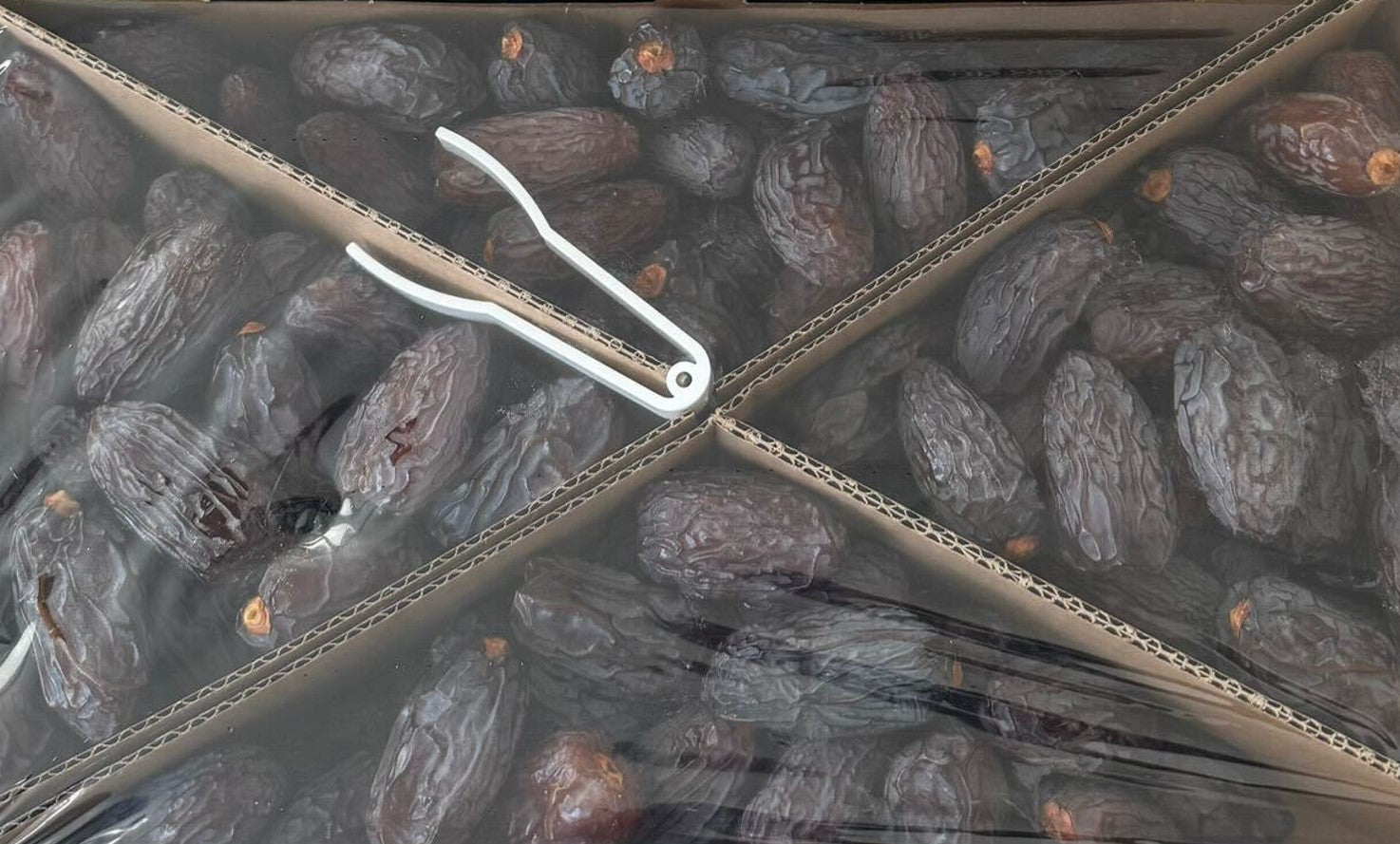 Medjool Premium Datteln -Jumbo (Kudüs Hurmasi - jumbo boy) 3kg