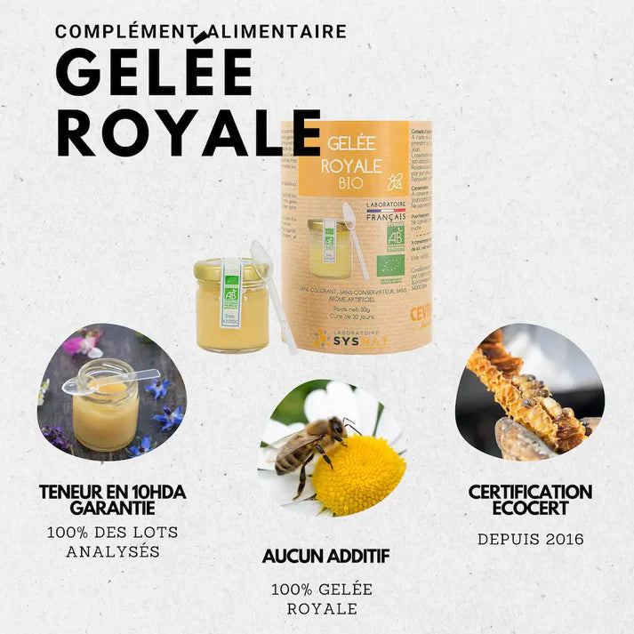 Organik Arı Sütü (Organisches Gelée Royale) 30g