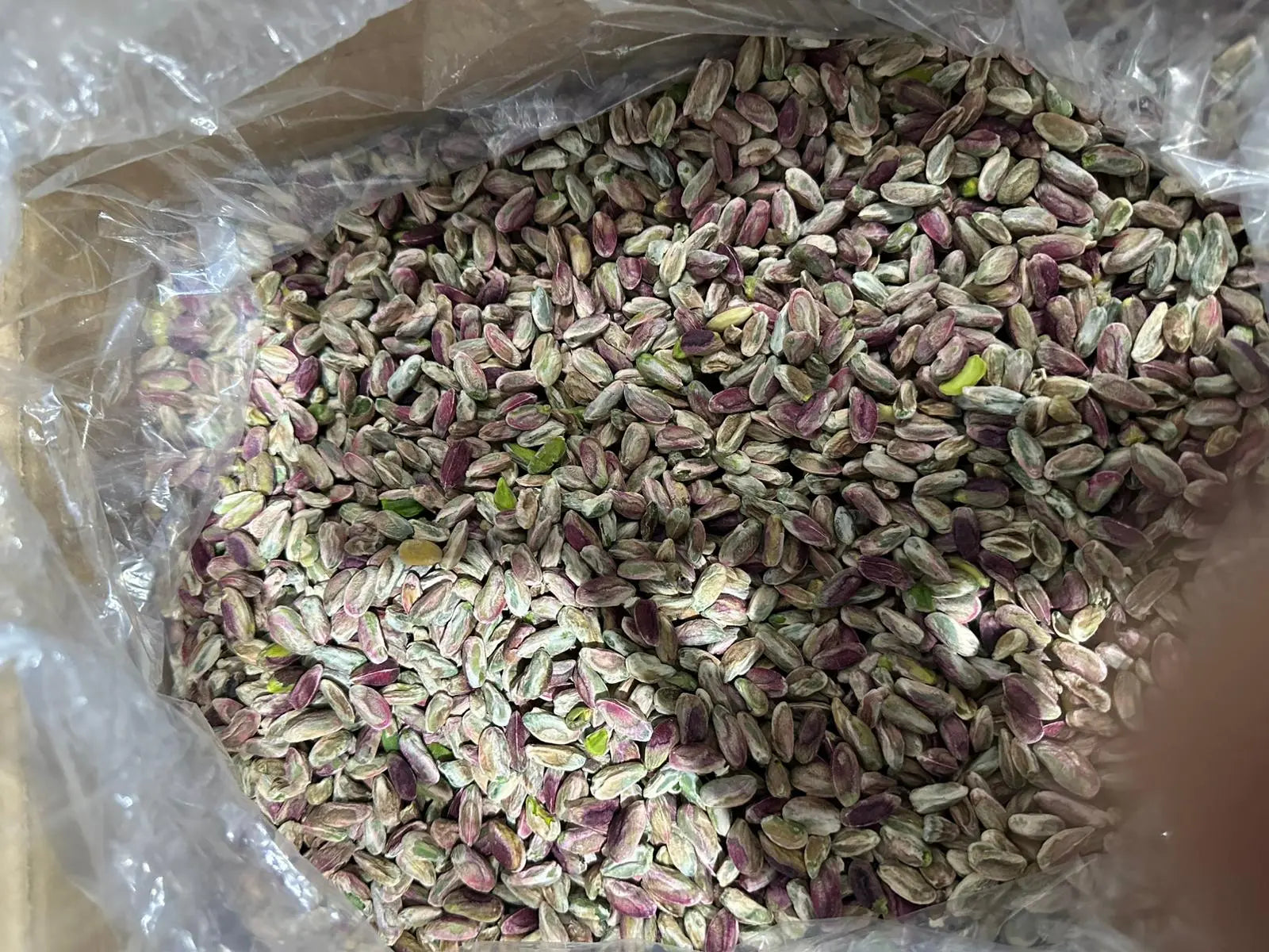 pistazien kaufen antep pistazienkerne