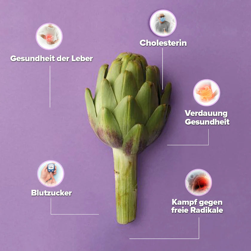 artischockensaft mit extrakt kaufen