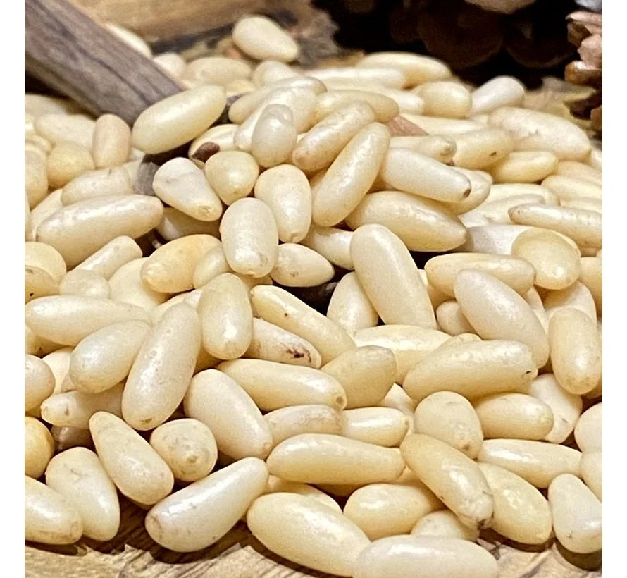 Çam fıstık 100 g