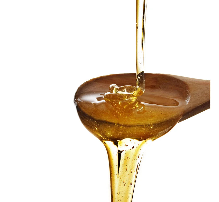 De'Lazza Bio Yabani Kekik Balı 450g