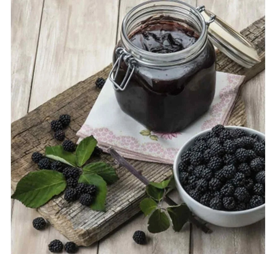 Katkısız Karadut Reçeli 450g