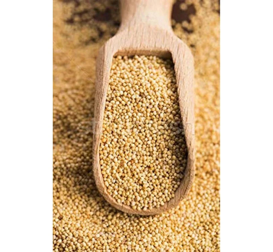 Sarı Haşhaş 200 g