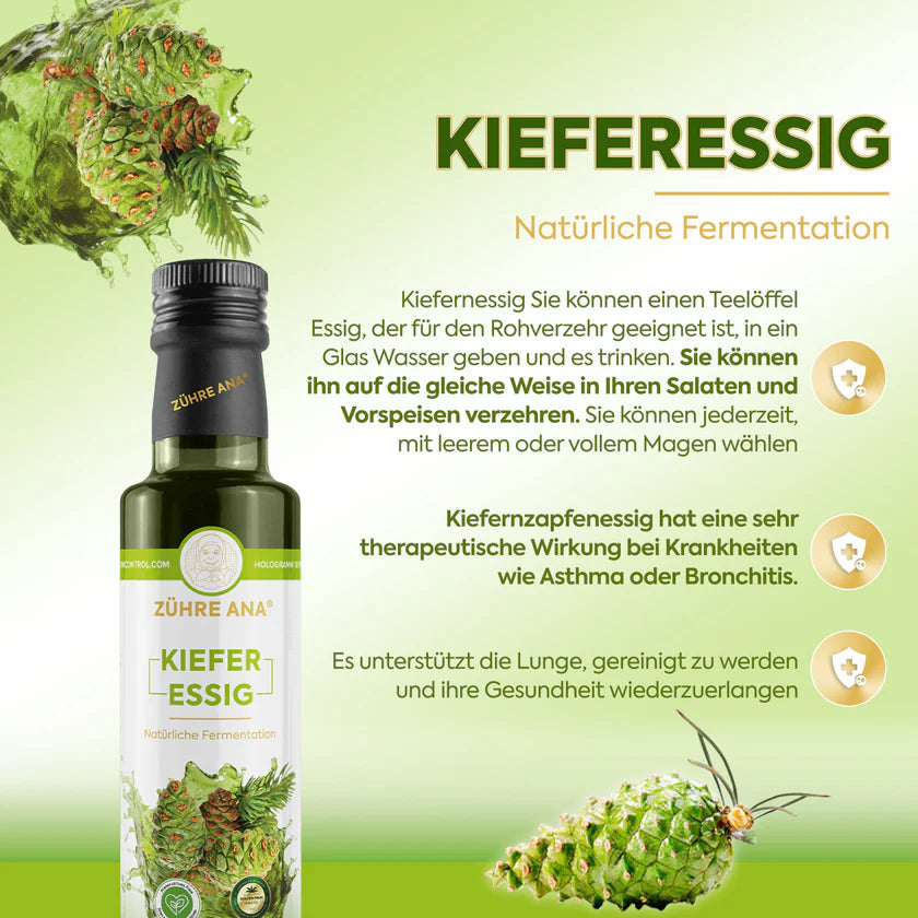 ZÜHRE ANA ÇAM SİRKESİ (Pinienessig) cerezland