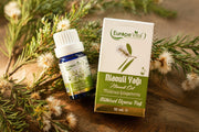 Niaouli Yağı (Niaouliöl) 10ml