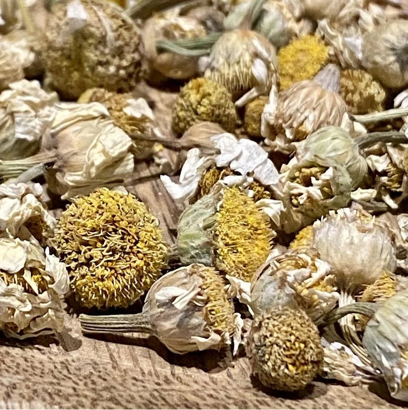 Papatya Çayı (Gänseblümchen Tee) 30 g cerezland