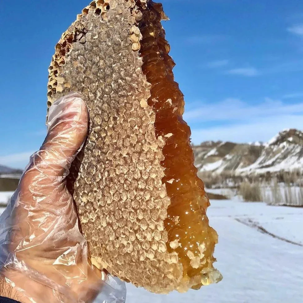 Hakiki Karakovan Balı 1200-1300g