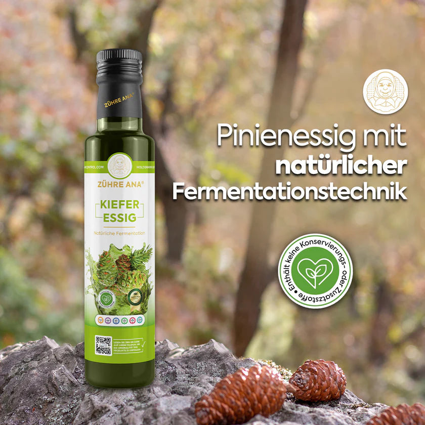 ZÜHRE ANA ÇAM SİRKESİ (Pinienessig) cerezland