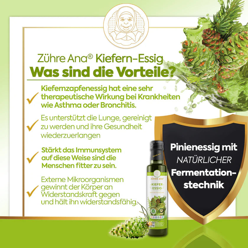 ZÜHRE ANA ÇAM SİRKESİ (Pinienessig) cerezland