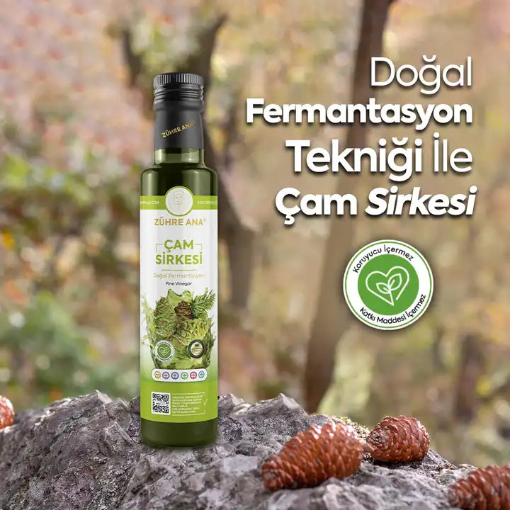ZÜHRE ANA ÇAM SİRKESİ (Pinienessig) cerezland