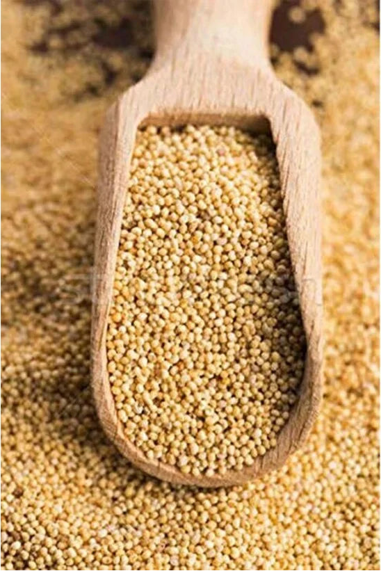 sarı haşhaş gelbe mohnsamen 200 g kaufen