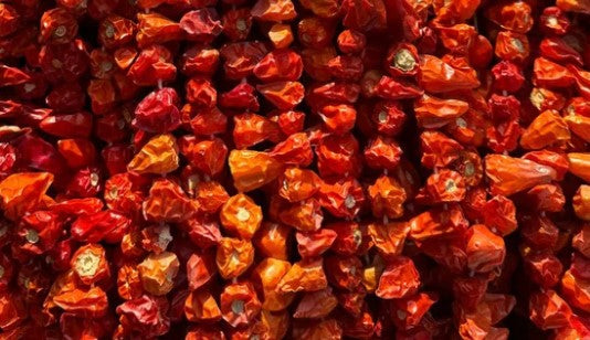 sonnengetrocknete scharfe paprika