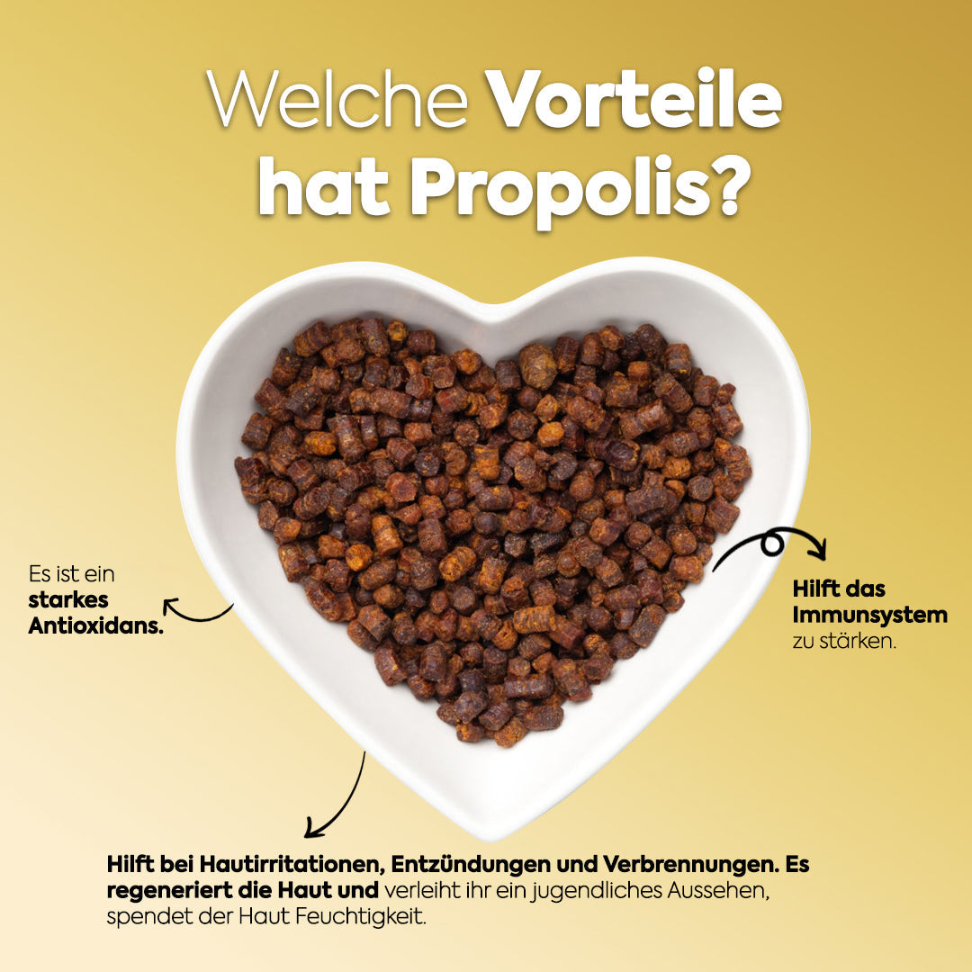 zühre ana immun paste mit honig und propolis