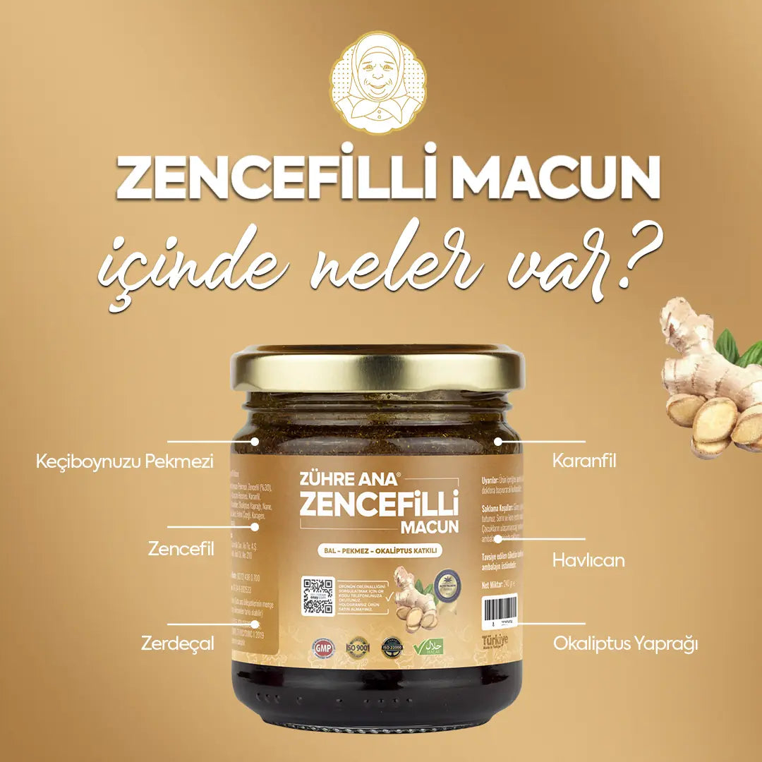 zühre ana ingwerpaste kaufen